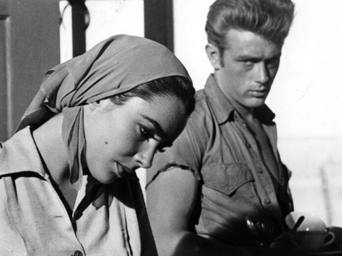 EchoVerse - Category Template